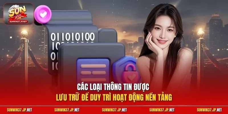 Các loại thông tin được lưu trữ để duy trì hoạt động nền tảng
